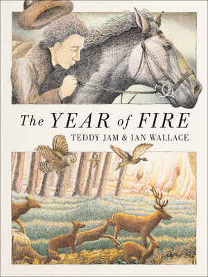 cover image of The Year of Fire
